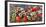 Panoramic image of frost on red berries.-Stuart Westmorland-Framed Photographic Print