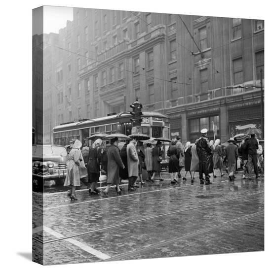 Stretched Canvas Print, , large