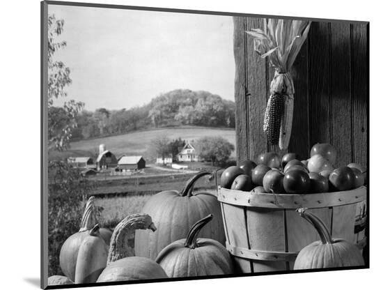 Photographic Print, , large