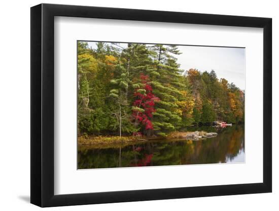 Premium Photographic Print, , large