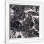 Gramercy White