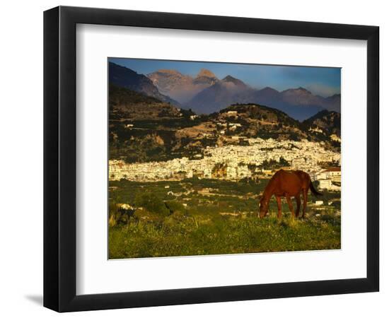 Premium Photographic Print, , large