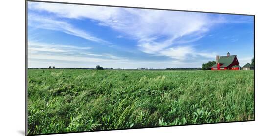 Photographic Print, , large