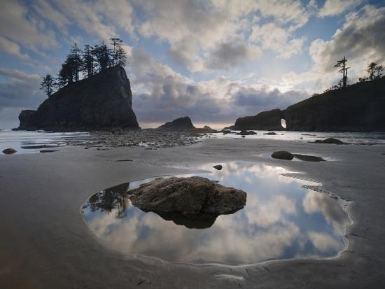 Premium Photographic Print, , large