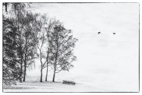 Photographic Print, , large