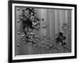 Gramercy Black