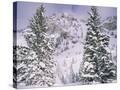 Stretched Canvas