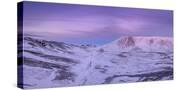 Stretched Canvas