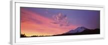 Chelsea White