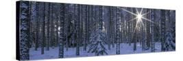 Stretched Canvas
