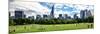 Panoramic Landscape, a Summer in Central Park, Lifestyle, Manhattan, New York City-Philippe Hugonnard-Mounted Premium Photographic Print