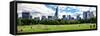 Panoramic Landscape, a Summer in Central Park, Lifestyle, Manhattan, New York City-Philippe Hugonnard-Framed Stretched Canvas