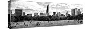 Panoramic Landscape, a Summer in Central Park, Lifestyle, Manhattan, NYC-Philippe Hugonnard-Stretched Canvas