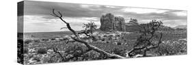 Panoramic Landscape - Arches National Park - Utah - United States-Philippe Hugonnard-Stretched Canvas