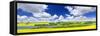 Panoramic Landscape Prairie View of Canola Field and Lake in Saskatchewan, Canada-elenathewise-Framed Stretched Canvas