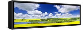 Panoramic Landscape Prairie View of Canola Field and Lake in Saskatchewan, Canada-elenathewise-Framed Stretched Canvas