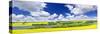 Panoramic Landscape Prairie View of Canola Field and Lake in Saskatchewan, Canada-elenathewise-Stretched Canvas