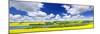 Panoramic Landscape Prairie View of Canola Field and Lake in Saskatchewan, Canada-elenathewise-Mounted Photographic Print