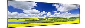 Panoramic Landscape Prairie View of Canola Field and Lake in Saskatchewan, Canada-elenathewise-Mounted Photographic Print