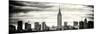 Panoramic Landscape View Manhattan with the Empire State Building - New York City-Philippe Hugonnard-Mounted Photographic Print