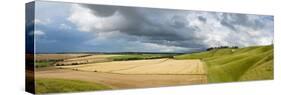 Panoramic Landscape View of the Cherhill Downs, Wiltshire, England, United Kingdom, Europe-Graham Lawrence-Stretched Canvas