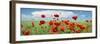 Panoramic Landscape with Poppies and Clouds-null-Framed Photographic Print