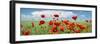 Panoramic Landscape with Poppies and Clouds-null-Framed Photographic Print