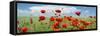 Panoramic Landscape with Poppies and Clouds-null-Framed Stretched Canvas