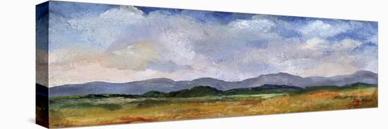 Panoramic Mountains-Bill Philip-Stretched Canvas