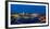 Panoramic of Inner harbor in Victoria, British Columbia, Canada-Chuck Haney-Framed Photographic Print
