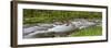 Panoramic of Straight Fork Creek in Spring, Great Smoky Mountains National Park, North Carolina-Richard and Susan Day-Framed Photographic Print