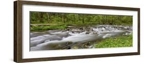 Panoramic of Straight Fork Creek in Spring, Great Smoky Mountains National Park, North Carolina-Richard and Susan Day-Framed Photographic Print