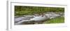 Panoramic of Straight Fork Creek in Spring, Great Smoky Mountains National Park, North Carolina-Richard and Susan Day-Framed Photographic Print