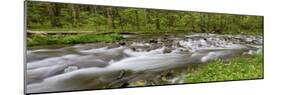 Panoramic of Straight Fork Creek in Spring, Great Smoky Mountains National Park, North Carolina-Richard and Susan Day-Mounted Photographic Print