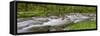 Panoramic of Straight Fork Creek in Spring, Great Smoky Mountains National Park, North Carolina-Richard and Susan Day-Framed Stretched Canvas