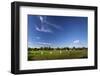 Panoramic Photo of Megalithic Stone Circle, Avebury, Wiltshire, England. United Kingdom, Europe-Peter Barritt-Framed Photographic Print