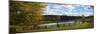 Panoramic scene in the vineyards in Virginia.-Michele Niles-Mounted Photographic Print