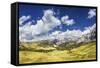 Panoramic Shot of a Field in the Dolomite Alps, Northern Italy-null-Framed Stretched Canvas