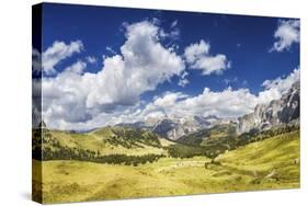 Panoramic Shot of a Field in the Dolomite Alps, Northern Italy-null-Stretched Canvas