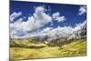 Panoramic Shot of a Field in the Dolomite Alps, Northern Italy-null-Mounted Photographic Print