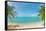 Panoramic Tropical Beach with Coconut Palm-Hydromet-Framed Stretched Canvas