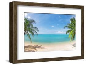 Panoramic Tropical Beach with Coconut Palm-Hydromet-Framed Photographic Print