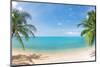 Panoramic Tropical Beach with Coconut Palm-Hydromet-Mounted Photographic Print