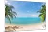 Panoramic Tropical Beach with Coconut Palm-Hydromet-Mounted Photographic Print