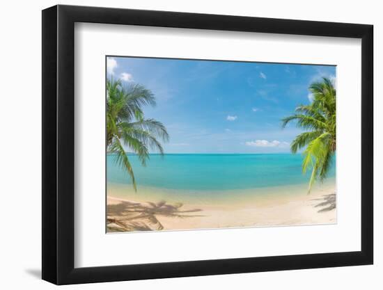 Panoramic Tropical Beach with Coconut Palm-Hydromet-Framed Photographic Print