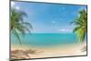 Panoramic Tropical Beach with Coconut Palm-Hydromet-Mounted Photographic Print