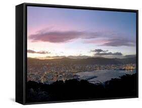 Panoramic View from Mount Victoria at Sunset, of Wellington, North Island, New Zealand-Don Smith-Framed Stretched Canvas