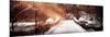 Panoramic View - Instants of NY Series-Philippe Hugonnard-Mounted Photographic Print