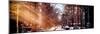 Panoramic View - Instants of NY Series-Philippe Hugonnard-Mounted Photographic Print