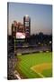 Panoramic view of 29,183 baseball fans at Citizens Bank Park, Philadelphia, PA, who are watching...-null-Stretched Canvas